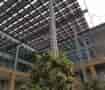 Solar Panel Awning Solar Modules view looking up from courtyard with tree in front