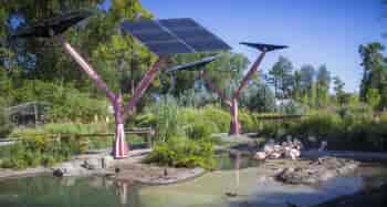 Aviary sanctuary covered by solar trees which provide shade and power for the protected birds.