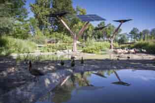 Aviary sanctuary covered by solar trees, providing shade to the birds.